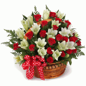 Flowers & Fruits