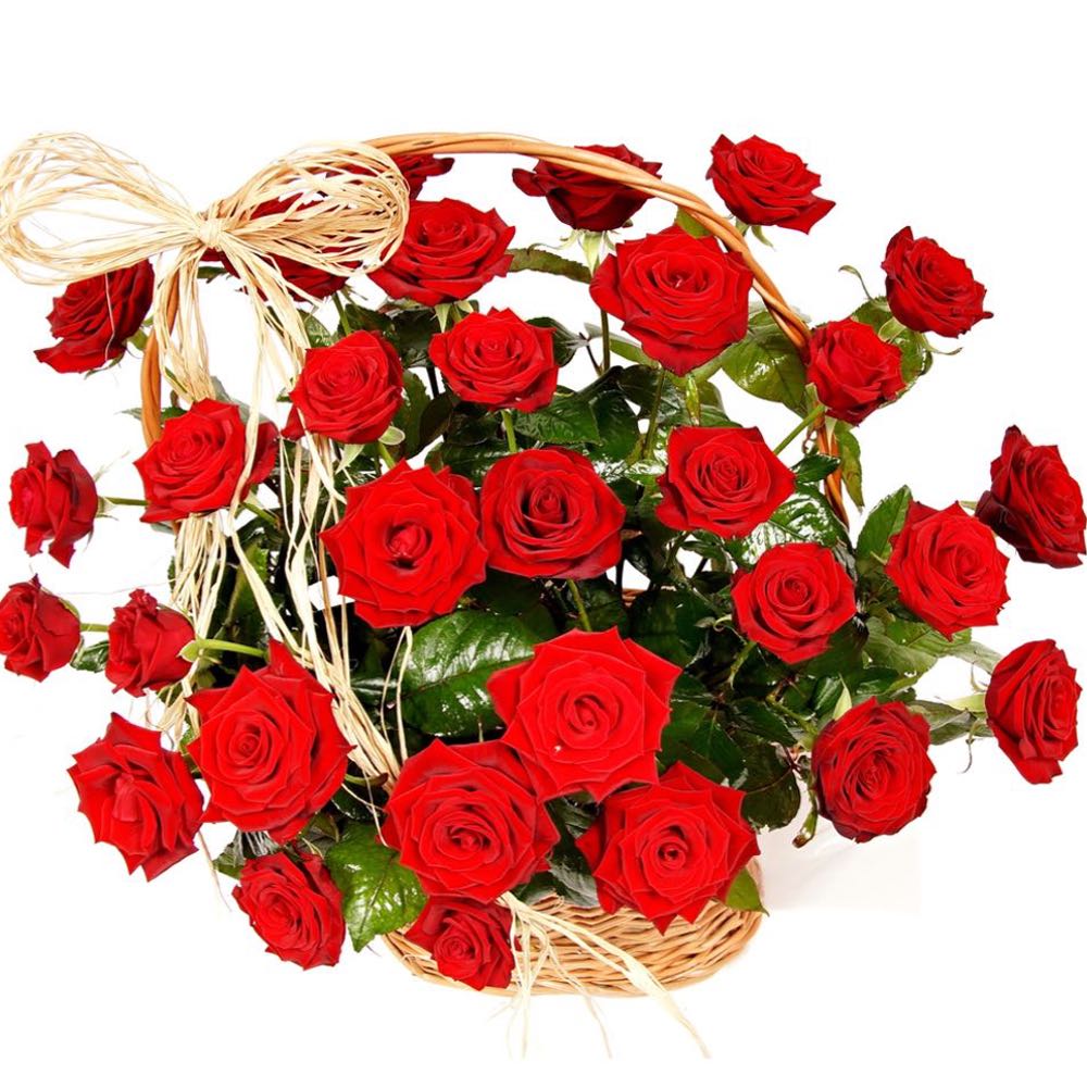 Decoration beautiful red roses in a basket
