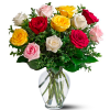dozen_long_assorted_roses