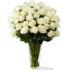 white roses 1