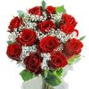 red roses